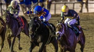Chip Honcho on Target in Gun Runner Stakes Win at Fair Grounds
